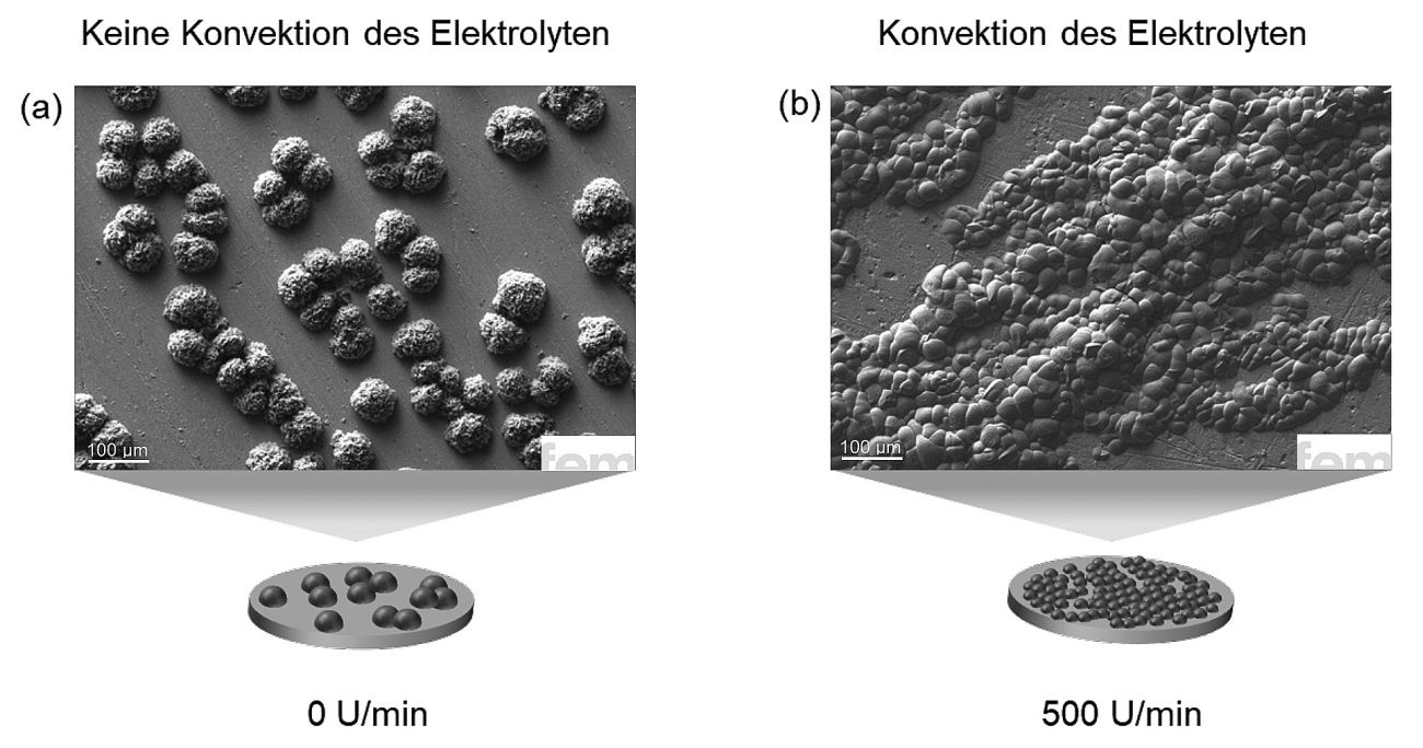 Abb. 5: Einfluss der Hydrodynamik auf die Calcium-Abscheidung: a) Ohne zusätzliche Elektrolytrührung (0 U/min) bilden sich halbkugelförmige Inseln mit ungerichtetem Wachstum, b) bei moderater (250 U/min) und hoher Rührgeschwindigkeit (500 U/min) entsteht ein vernetztes Wachstumsmuster mit homogenerer Schichtstruktur, bedingt durch verbesserte Ionenzufuhr und reduzierte Überspannung
