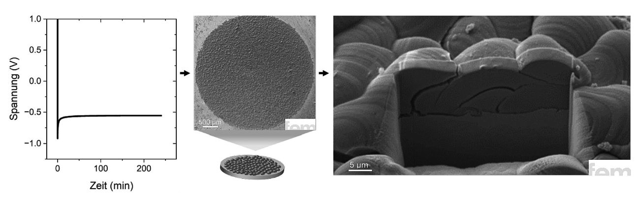 Abb. 6: Morphologie und Querschnitt einer galvanisch abgeschiedenen Calcium-Schicht unter optimierten Prozessbedingungen. Die rund 10 µm dicke Schicht zeigt ein typisches, diskontinuierliches Kornwachstum mit partiell überlappenden Kristallen