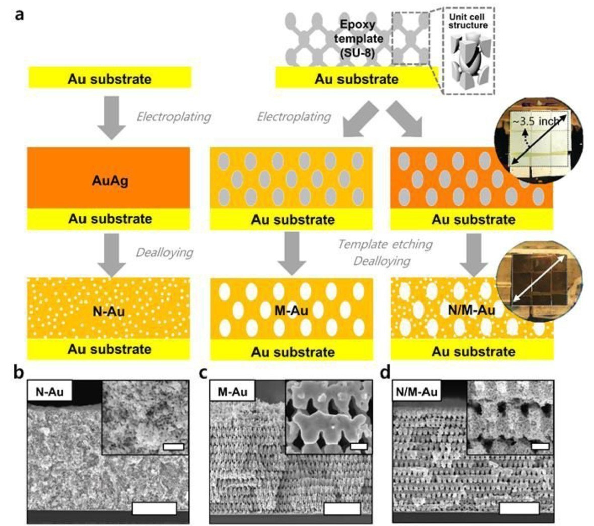 Produktionsschritte für Au-Nanostrukturen mittels Proximity-Field-Nanopatterning und Vergoldung. N = nanoporös; M = makroporös; N/M = hierarchisch nanoporöse 3D-Goldstrukturen