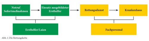 Abb. 1: Die Rettungskette