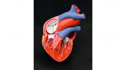 Webtechnisch gefertigte Herzklappenprothesen (weiß)