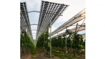 PV-Module, die landwirtschaftliche Flächen überspannen und damit Landwirtschaft und Solarstromgewinnung verbinden.