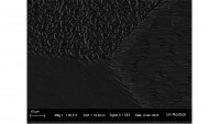 REM-Aufnahme von Sekundärzinn bei 1000-facher Vergrößerung mit gut sichtbaren Kristallen und Korngrenzen