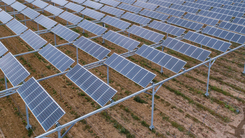 Agri-PV kombiniert Landwirtschaft mit Solarstromproduktion auf derselben Fläche (Foto: Agrivoltaïsme)
