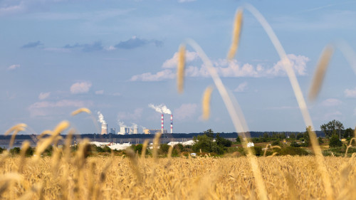 Bis Mitte des Jahrhunderts soll Deutschland weitgehend treibhausgasneutral werden. Das geht nur, wenn sich auch Unternehmen und Betriebe auf den Dekarbonisierungsweg machen
