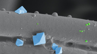 Abb. 1: Nur wenige Viren schaffen es bis zur innersten Schicht einer Stoffmaske. Im Bild eine Textilfaser mit Salzkristallen (hellblau)  und rund 100 Nanometer-grosse Viren (grün). (Rasterelektronenmikroskopie, nachkoloriert) 