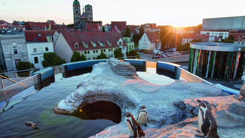 Das Ozeaneum in Stralsund – hier mit lebensechten Pinguinen